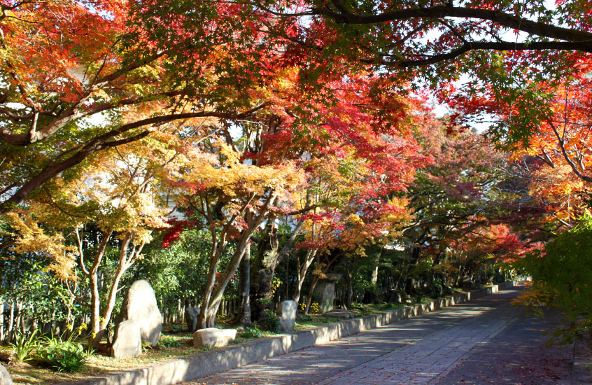 Path to Ryufukuji Temple