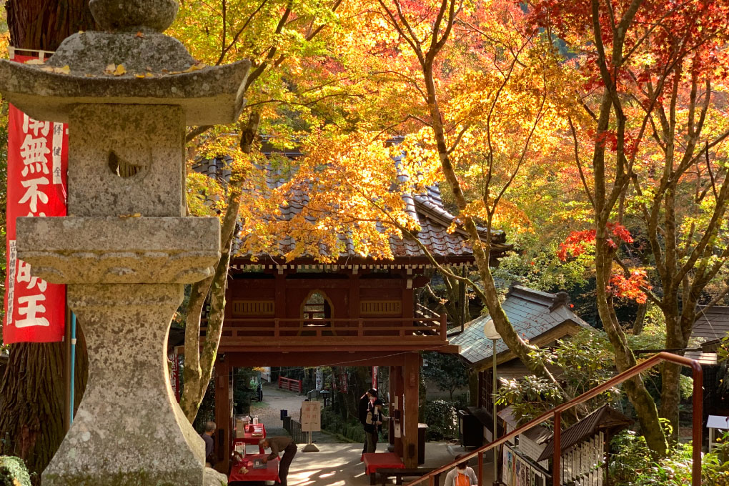 龍蔵寺