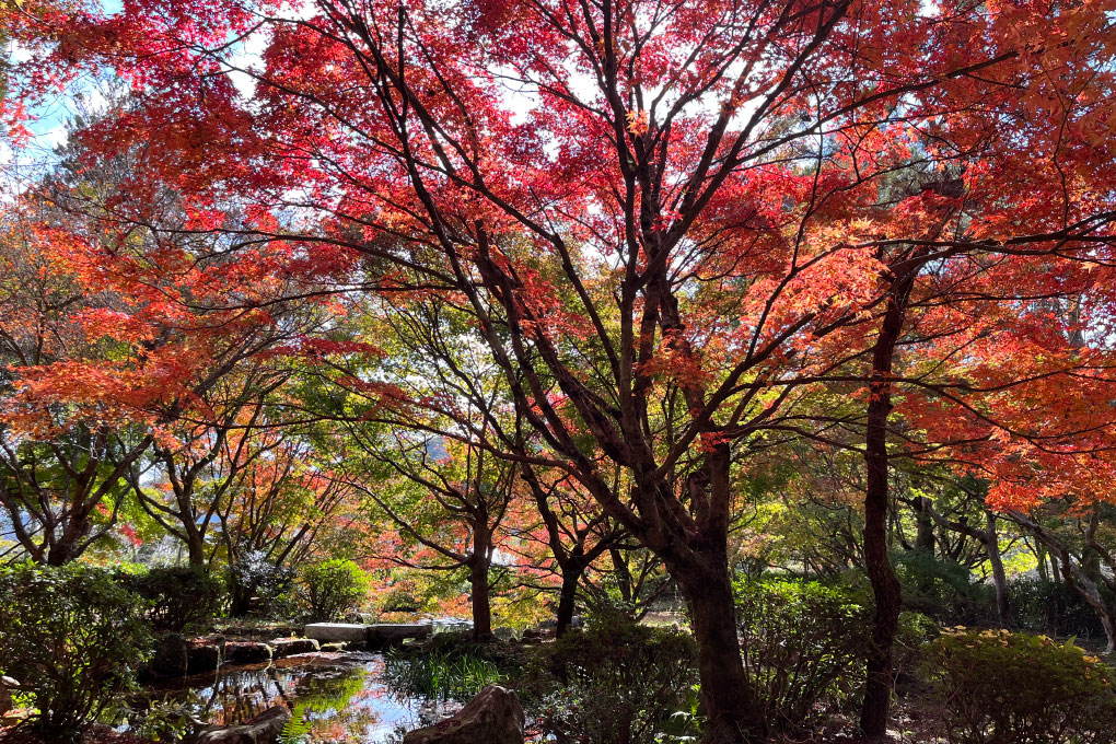 木戸公園