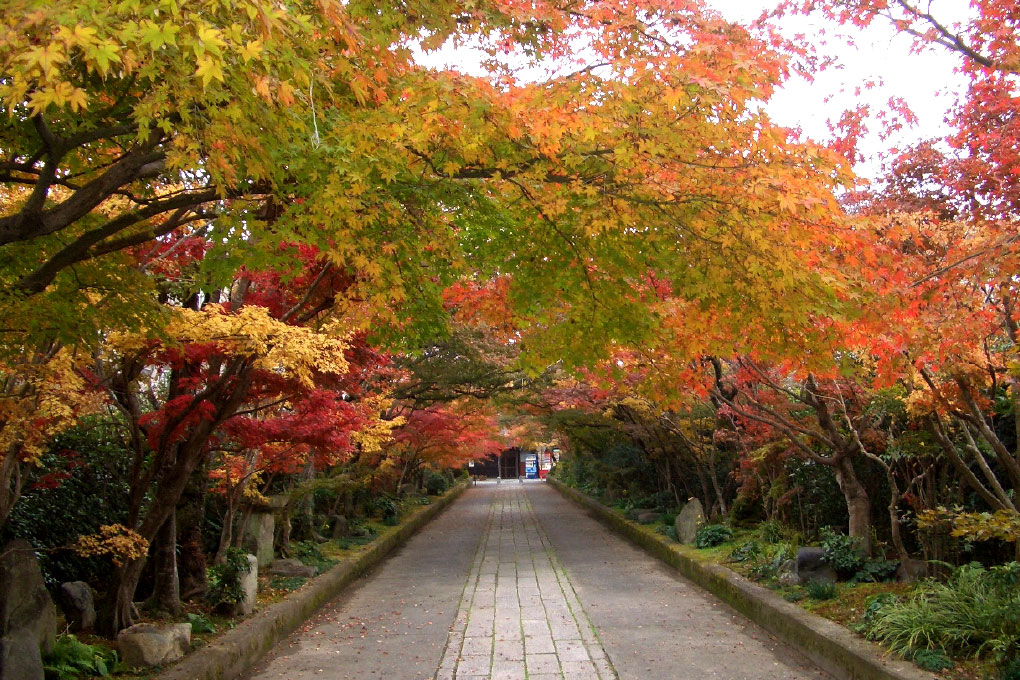 龍福寺