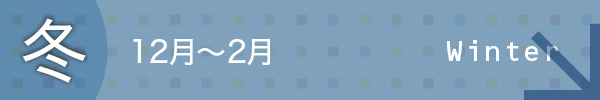 イベントカレンダー/冬　12月から2月