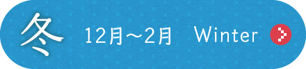 花暦/冬　12月から2月