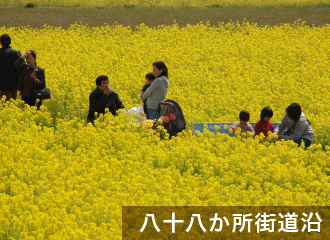 八十八か所街道沿