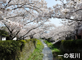 一の坂川