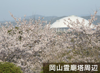 岡山霊廟塔周辺