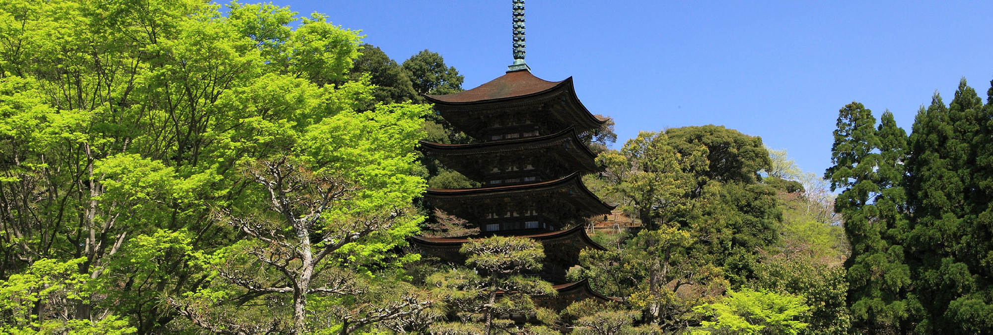 Kozan Park, the five-storied pagoda of Rurikoji Temple (designated a national treasure)