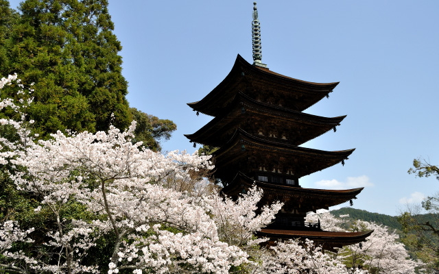 国宝瑠璃光寺五重塔