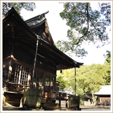 豊栄神社・野田神社（とよさかじんじゃ・のだじんじゃ）