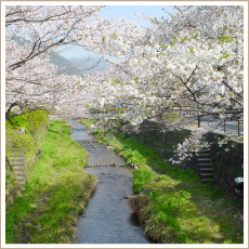 一の坂川(いちのさかがわ)