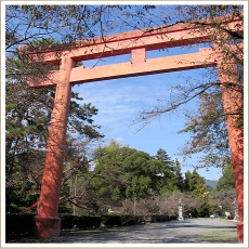 八坂神社 鳥居