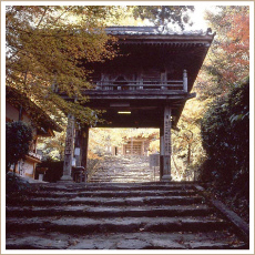 龍蔵寺（りゅうぞうじ）