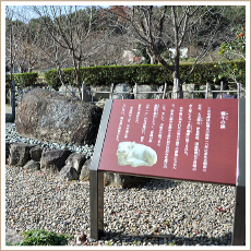 其中庵(ごちゅうあん)・句碑