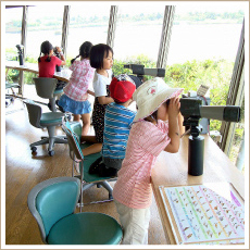 山口県立きらら浜自然観察公園（やまぐちけんりつきららはましぜんかんさつこうえん）