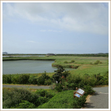 山口県立きらら浜自然観察公園（やまぐちけんりつきららはましぜんかんさつこうえん）