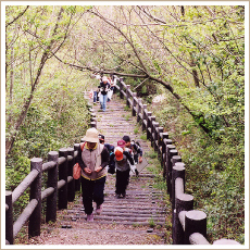 串山遊歩道(くしやまゆうほどう)