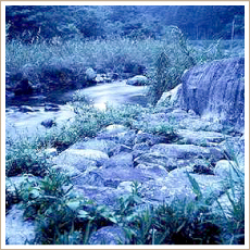 佐波川関水(さばがわせきみず)