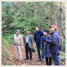 森林セラピー基地