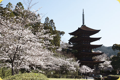 国宝瑠璃光寺五重塔