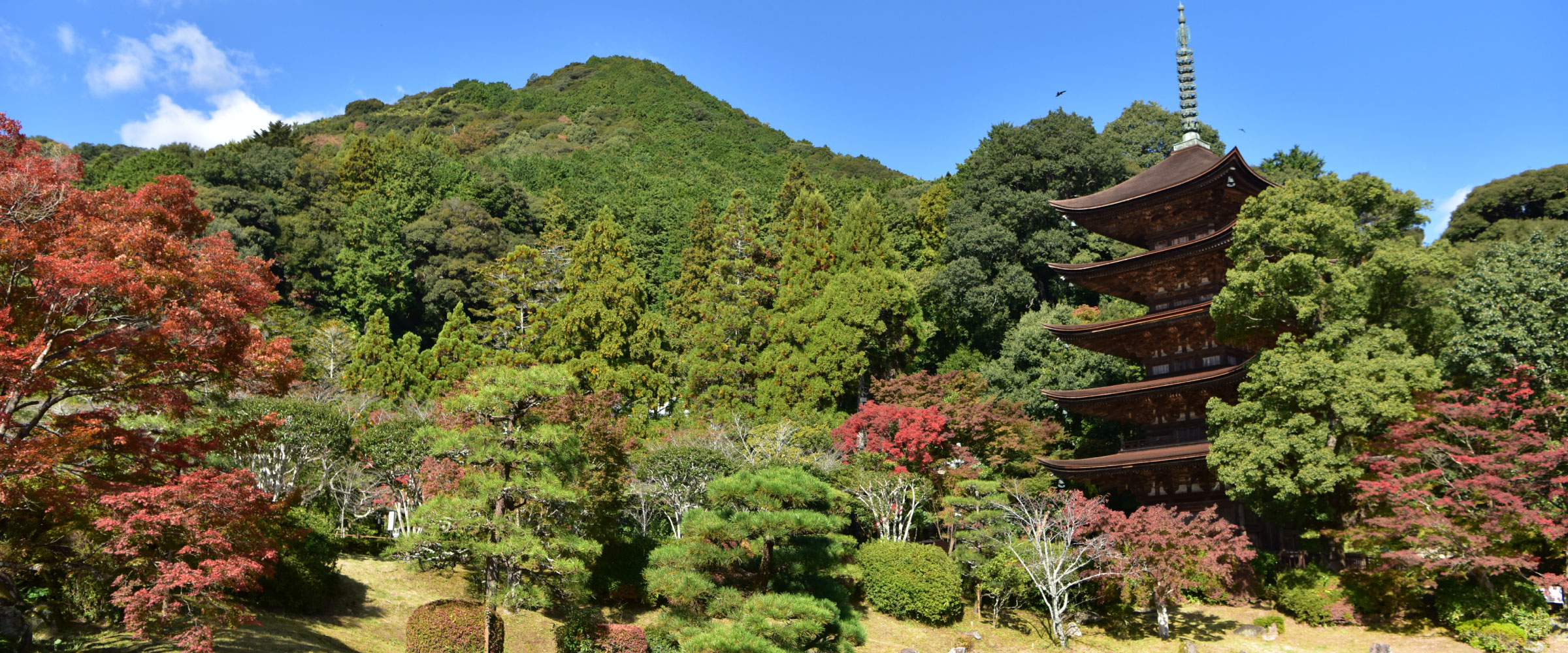 国宝 瑠璃光寺五重塔