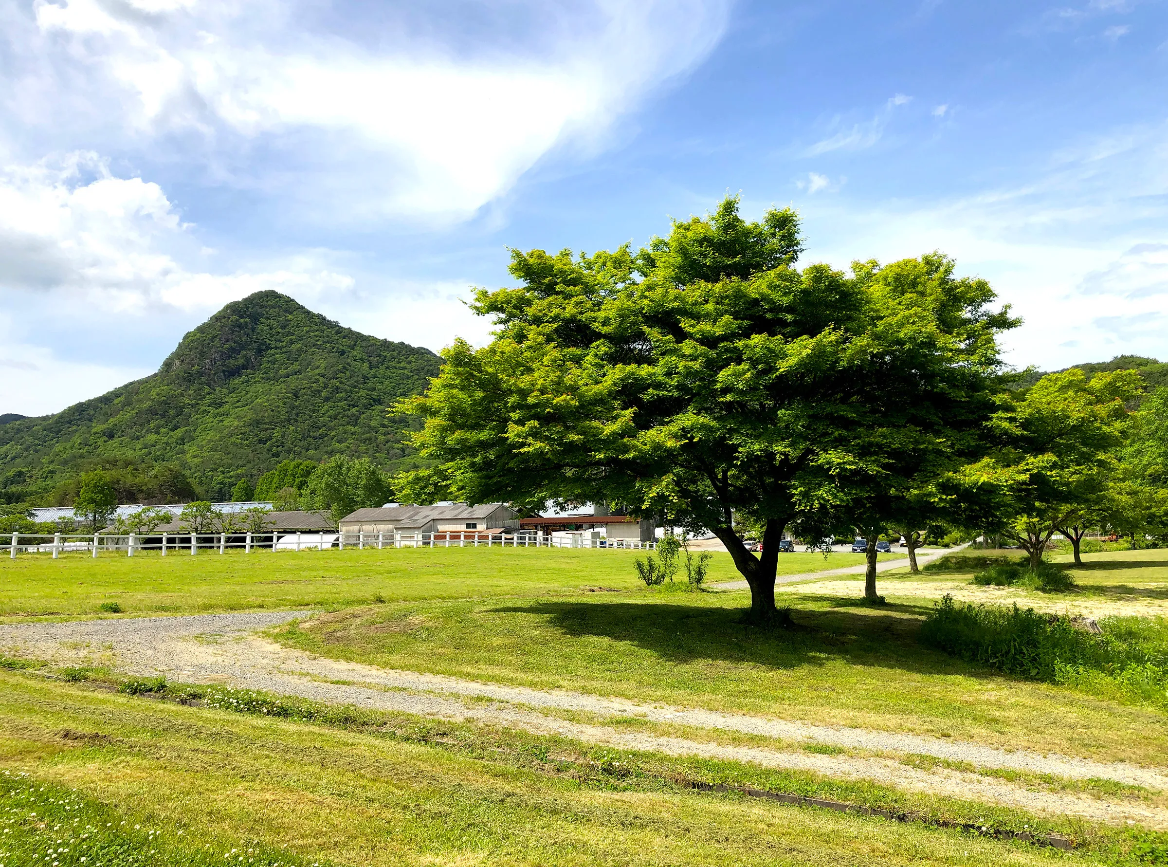 船方牧場の風景