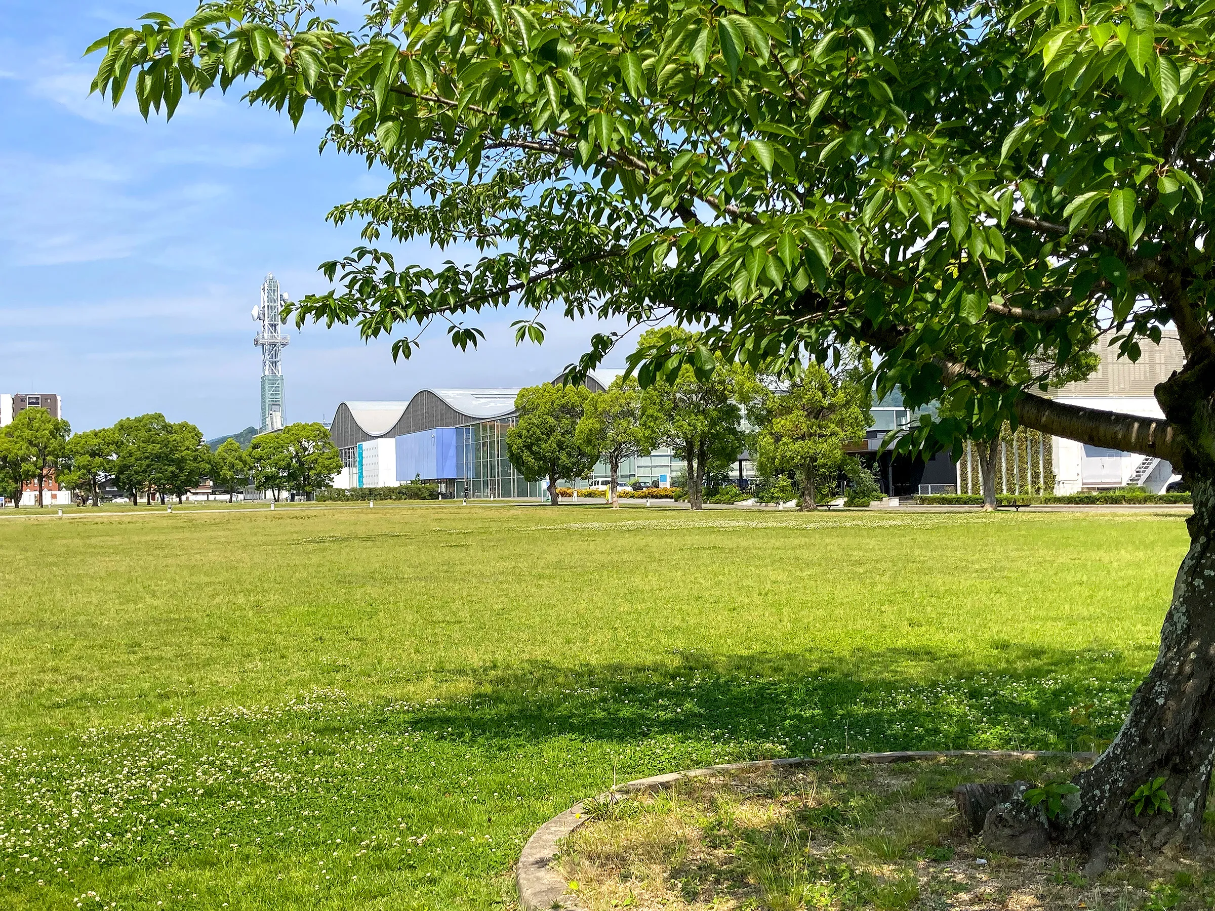 山口情報芸術センター（中央公園）5