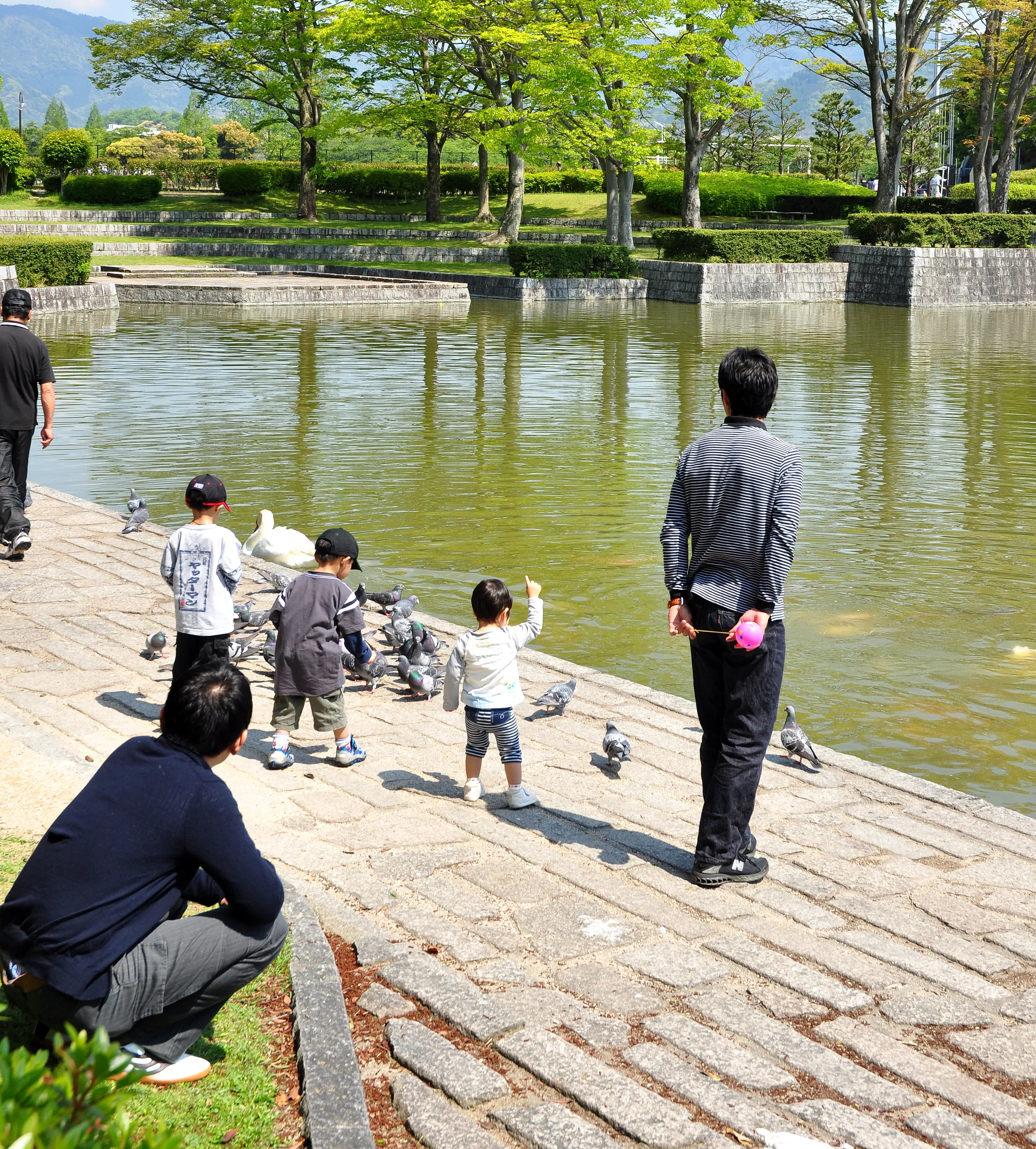 維新公園えさやり