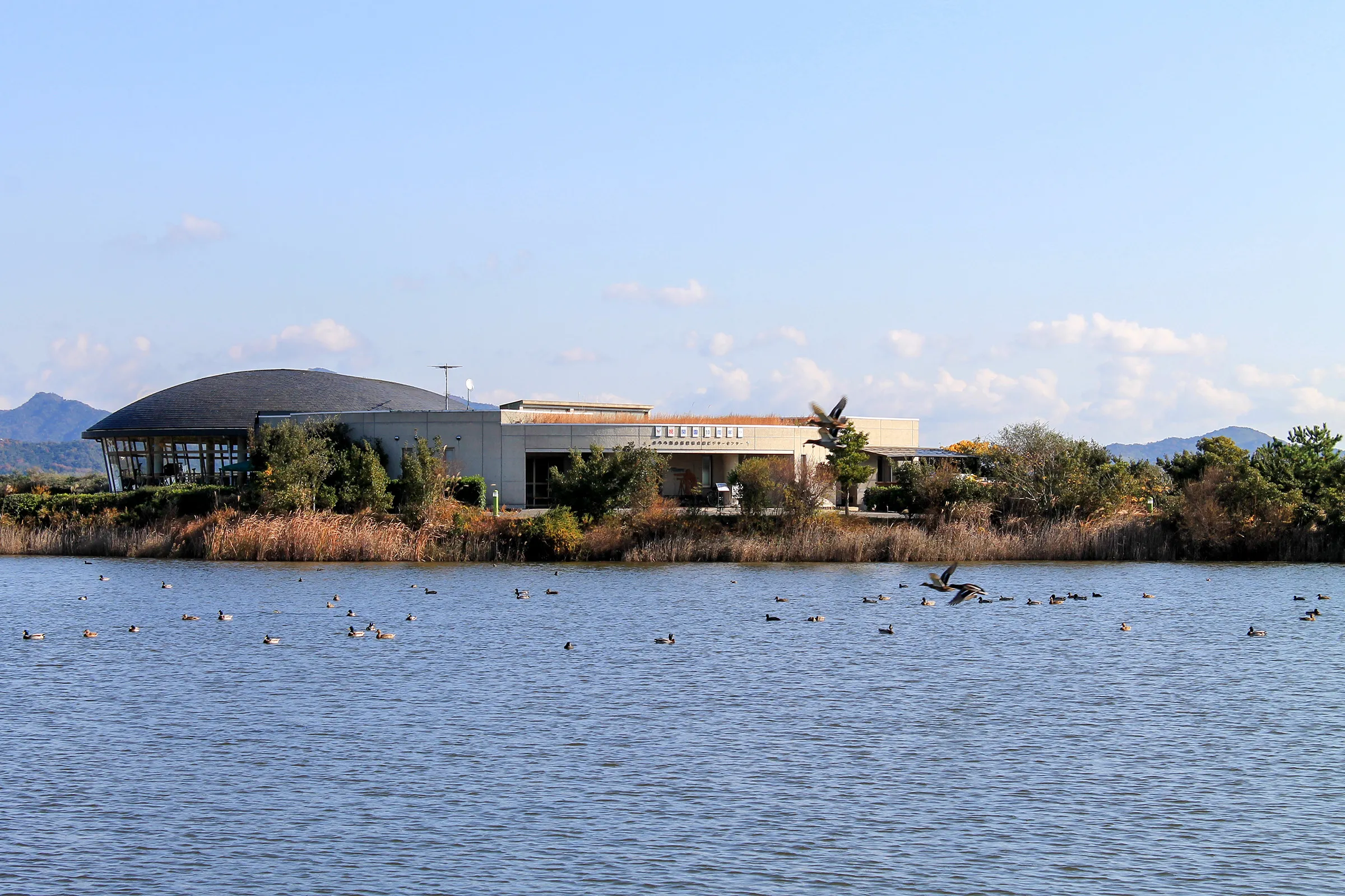 阿知須町きらら野鳥公園