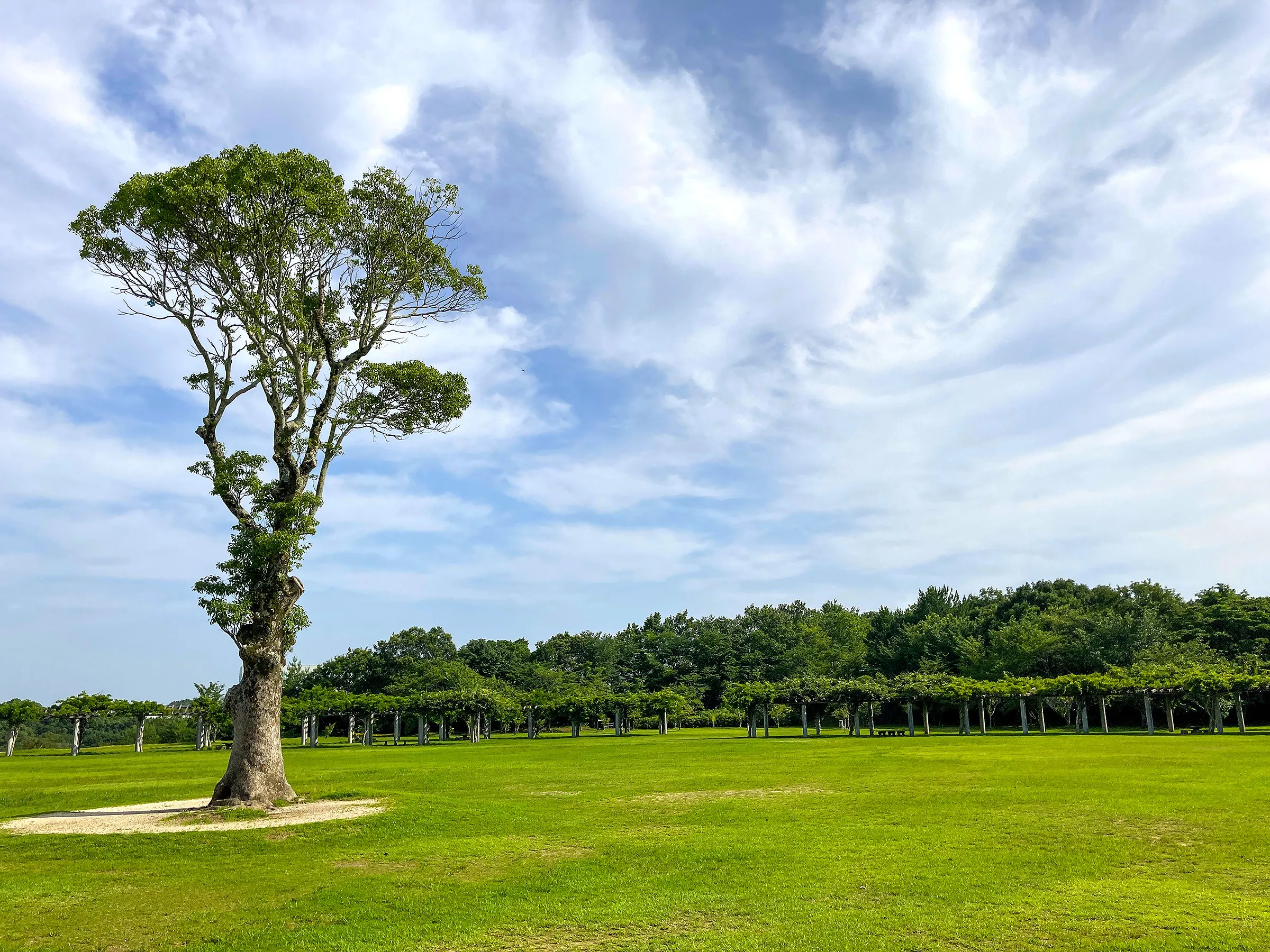 河原谷公園3