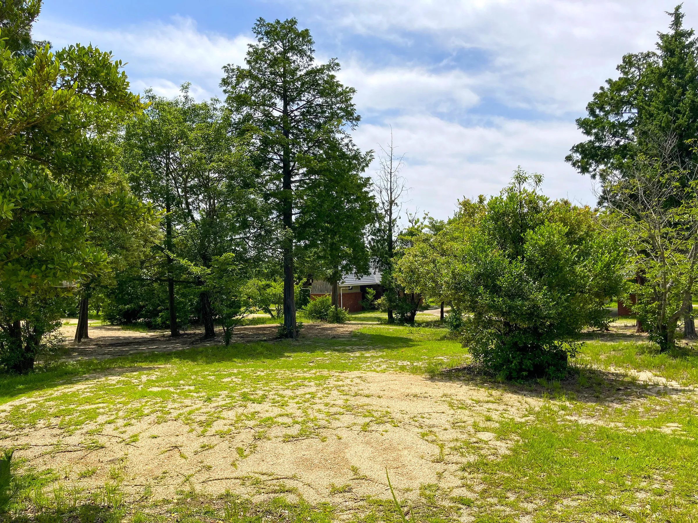 千坊川砂防公園キャンプ場2