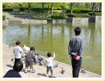 維新百年記念公園の写真