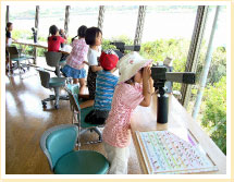 山口県立きらら浜自然観察公園の写真