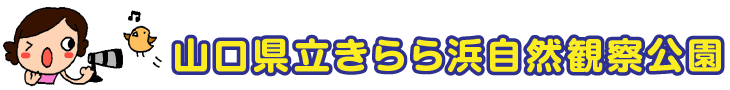 山口県立きらら浜自然観察公園