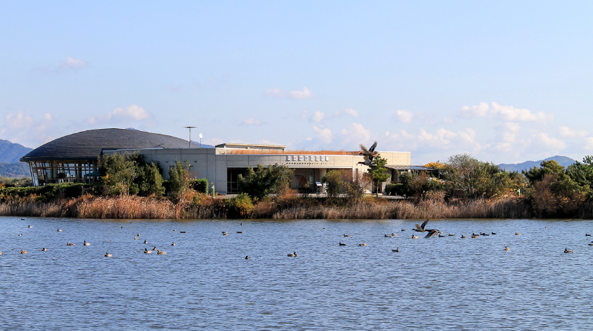 山口県きらら浜自然観察公園