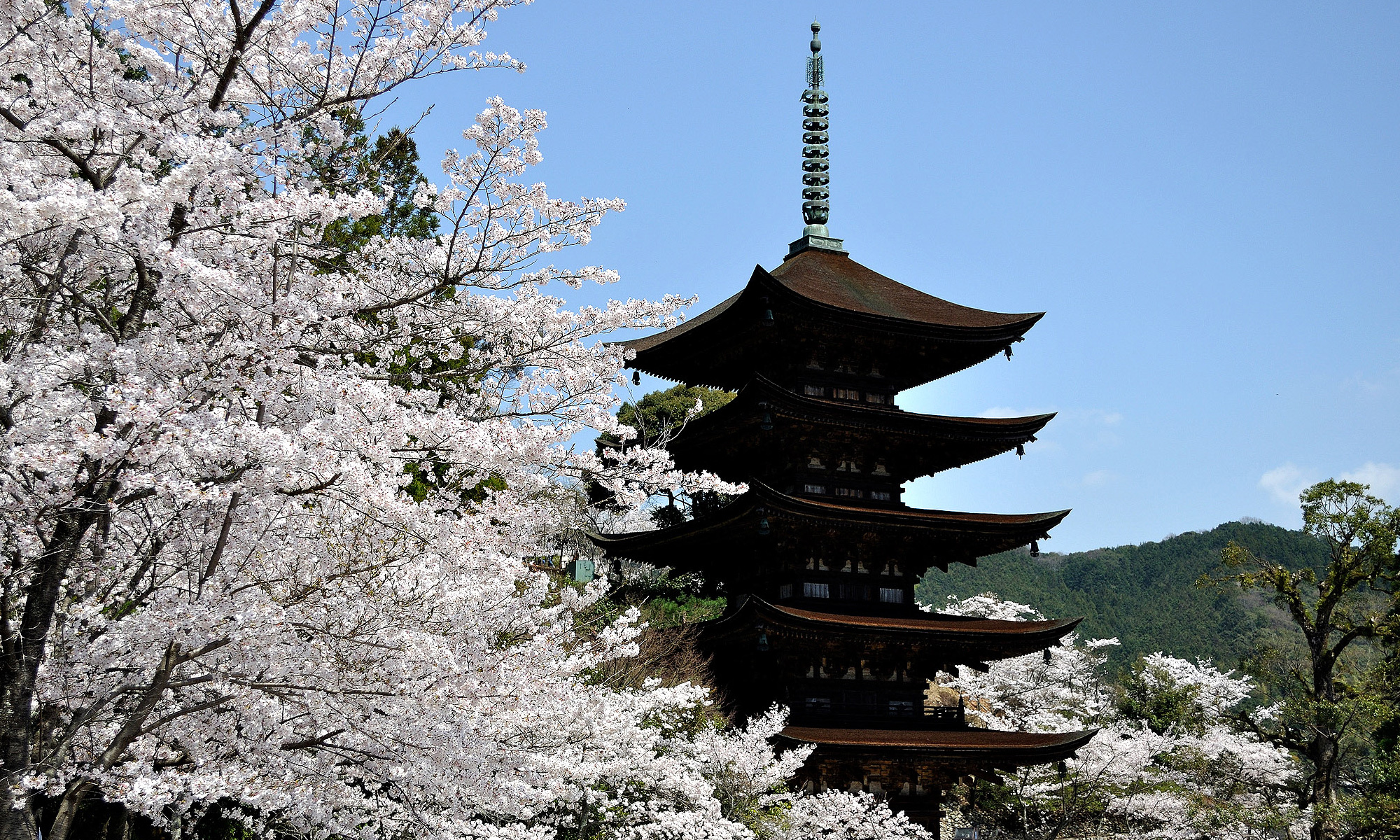 国宝瑠璃光寺五重塔