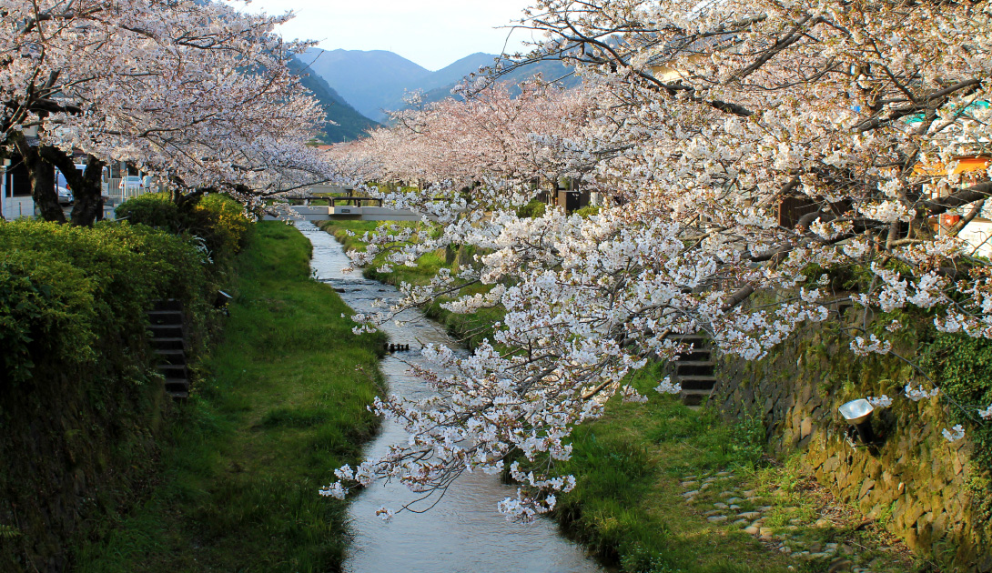 一の坂川