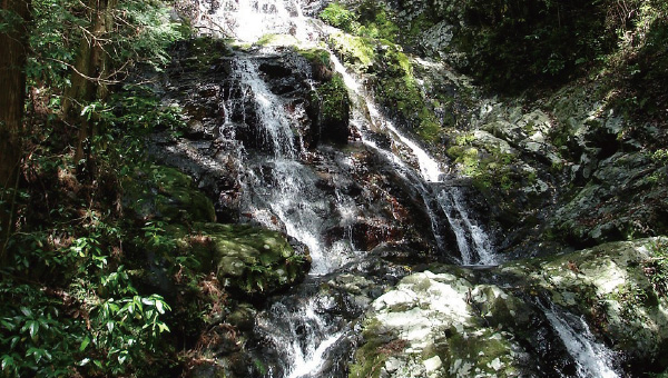 錦鶏の滝