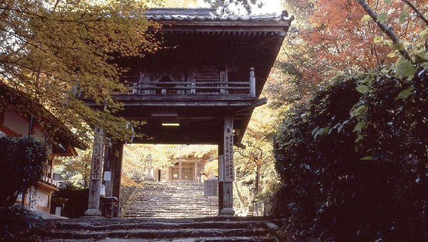 龍蔵寺