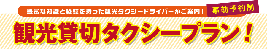 豊富な知識と経験を持った観光タクシードライバーがご案内！・事前予約制・観光貸切タクシープラン！