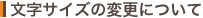 文字サイズの変更について