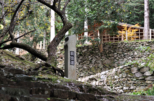 Guided tours