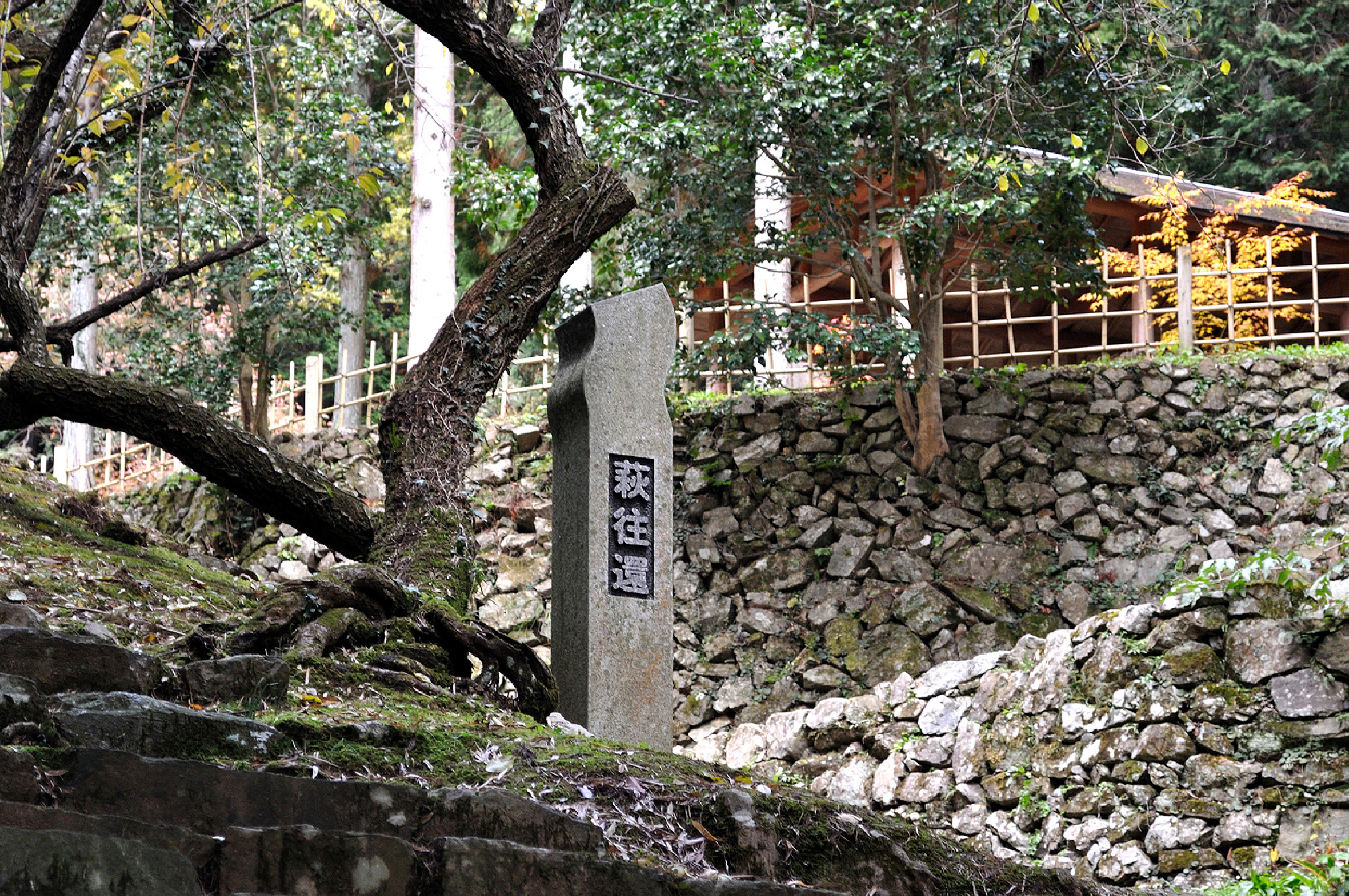 歷史之道「萩往還」