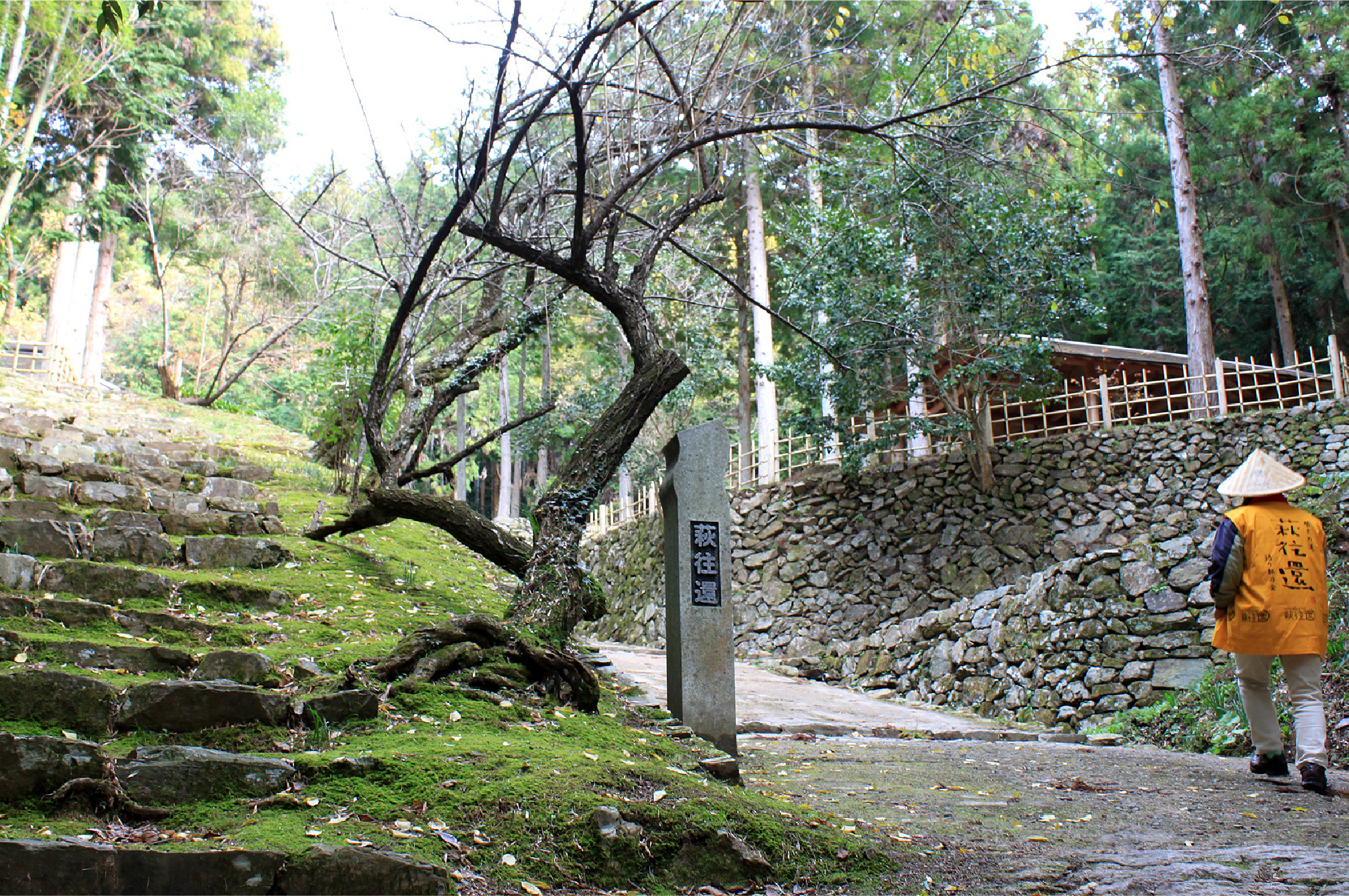 歷史之道「萩往還」