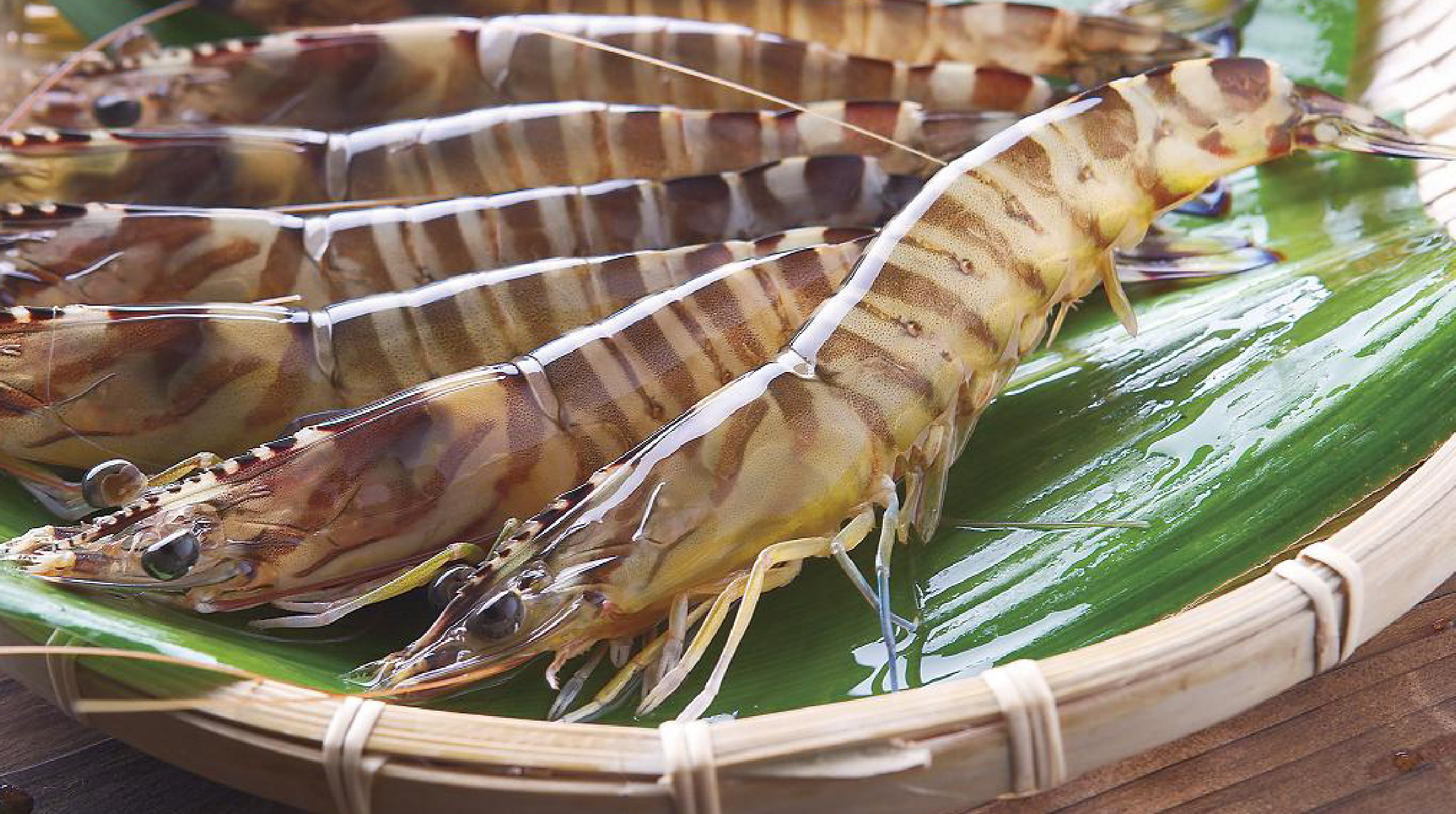 Aio Japanese Tiger Prawns
