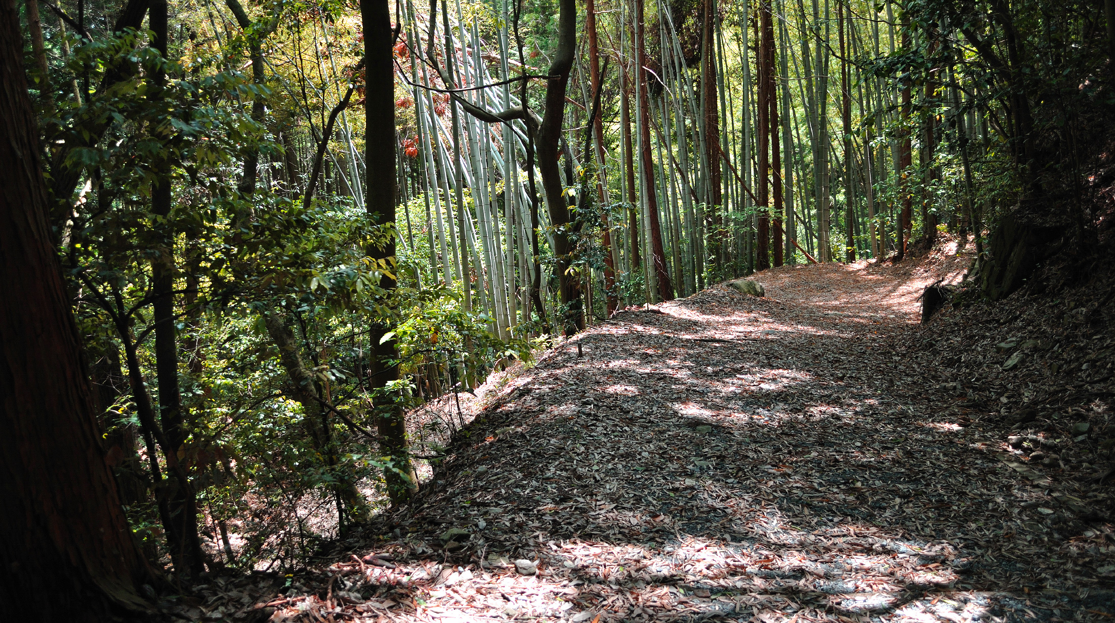 Hagiokan (Hagi Road)