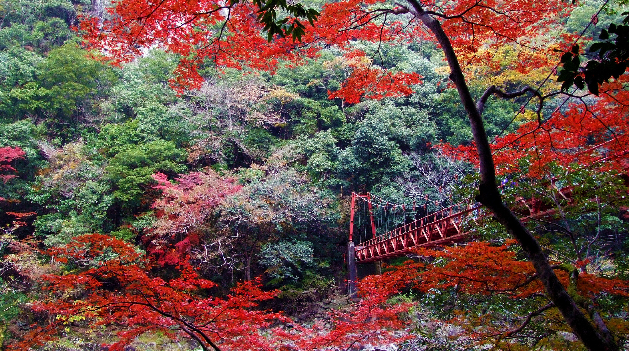 長門峽