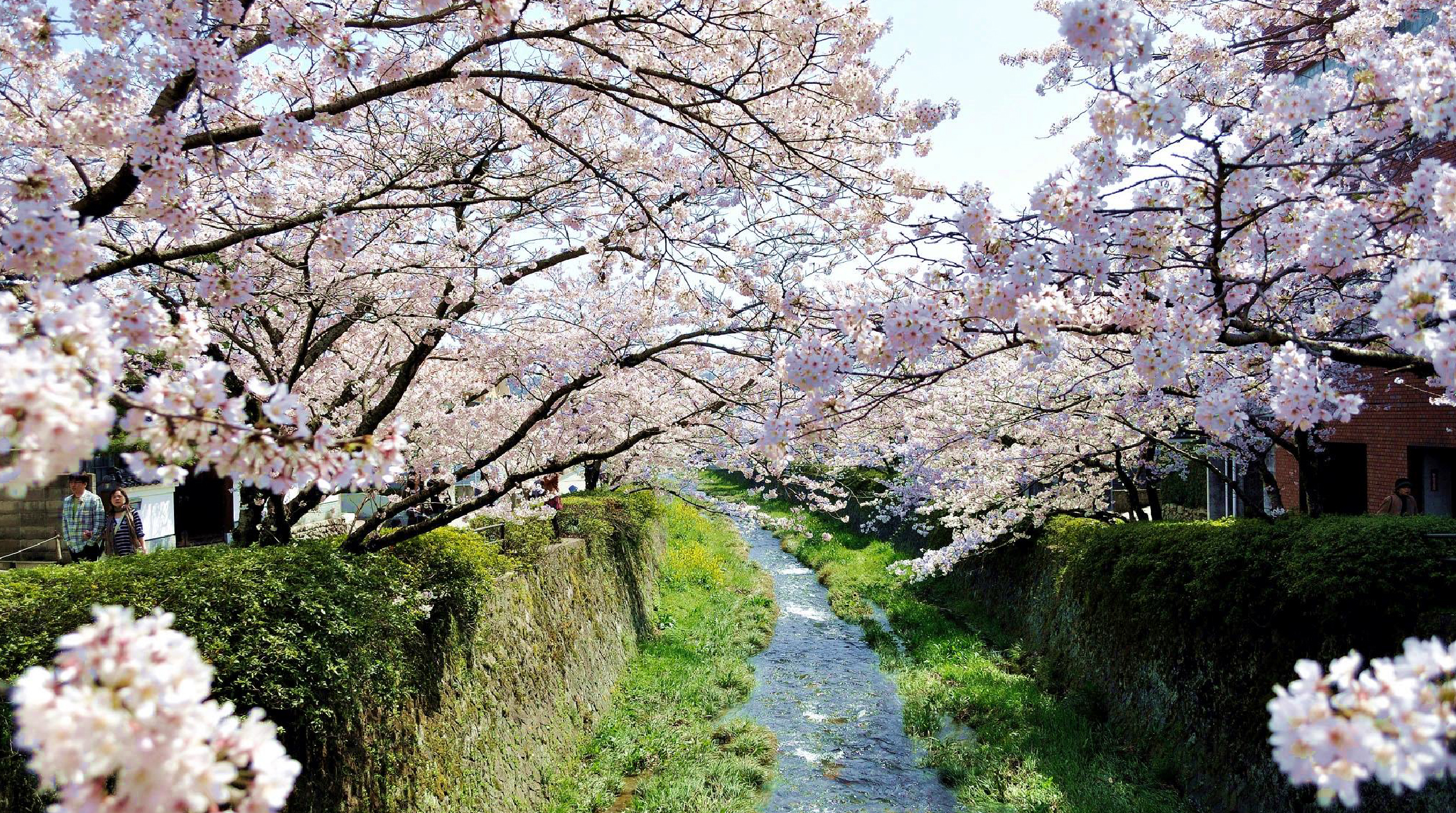 Ichinosaka River