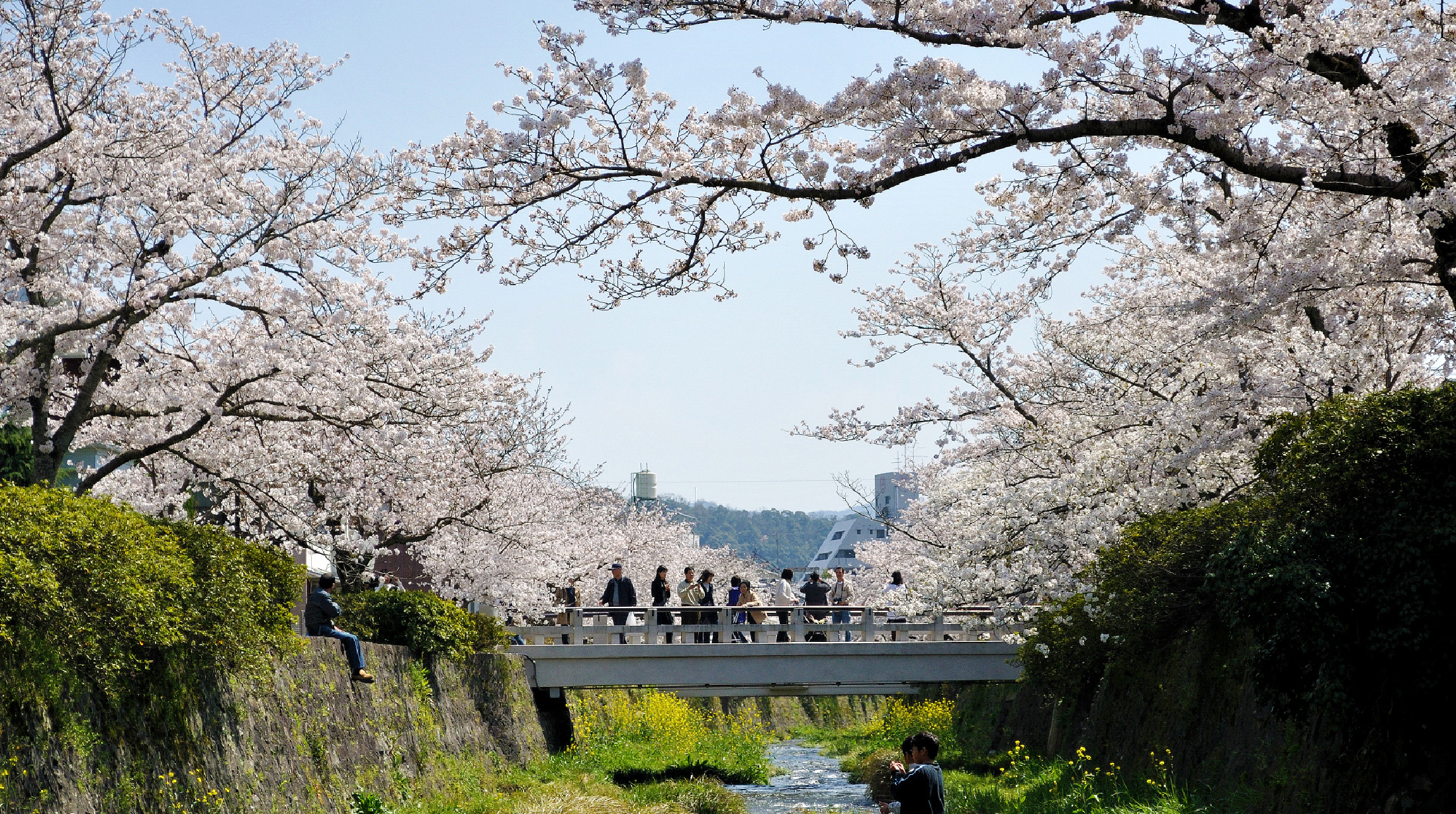 Ichinosaka River