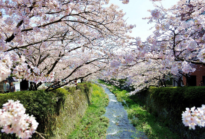 Ichinosaka River
