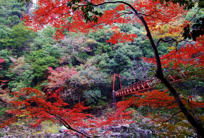 Chomonkyo