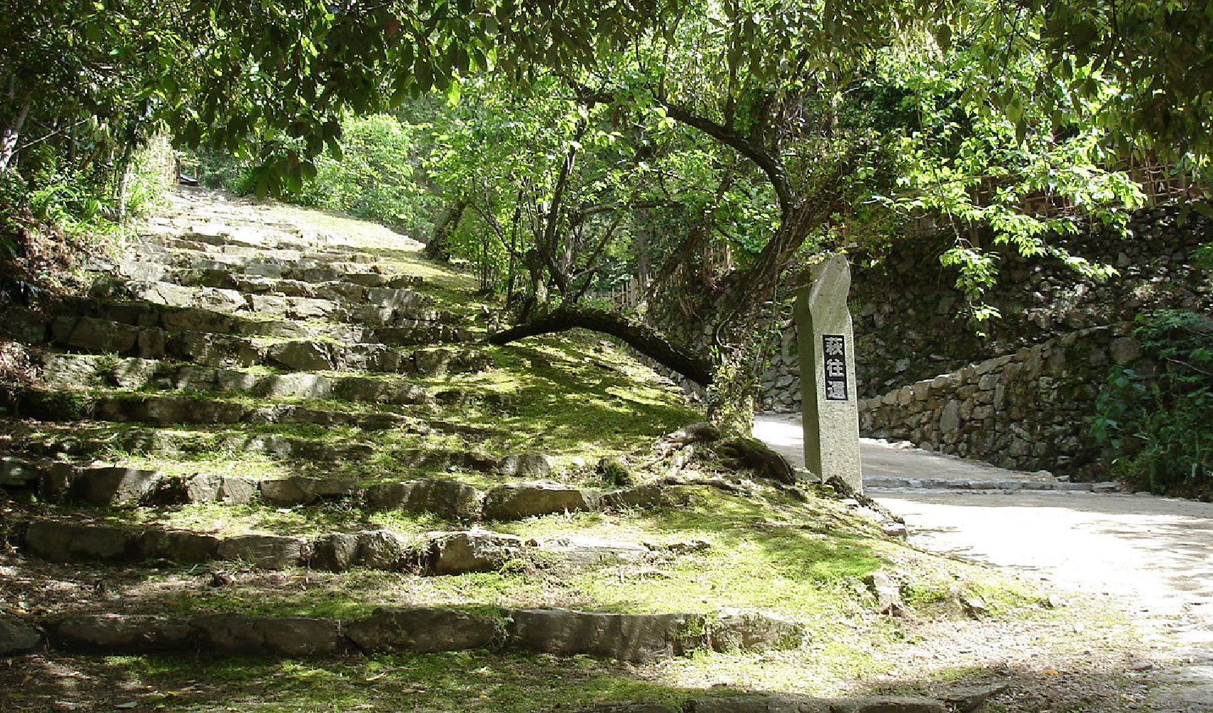 Hagi Okan Trail